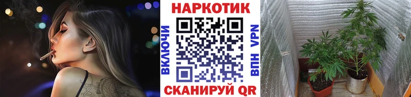 Купить закладку Alpha-PVP  Мефедрон  КОКАИН  Кодеин  Марихуана  ГАШИШ  Галлюциногенные грибы  Гусь-Хрустальный